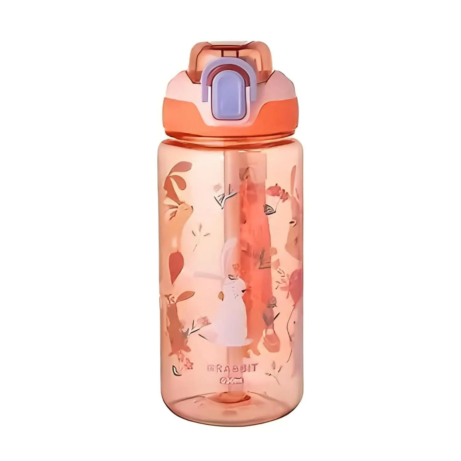 Cartoon Theme Water Bottle (500ml,Multi Colours)