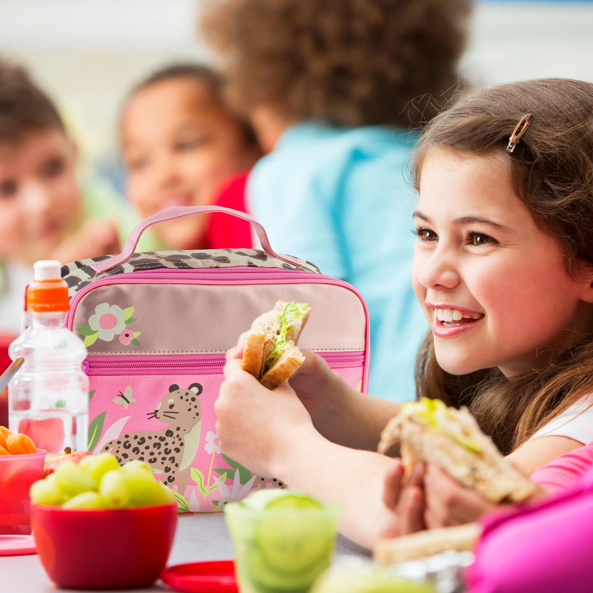 Classic Lunch Boxes