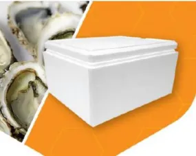 Polystyrene Box, Oyster Large 24.7 L